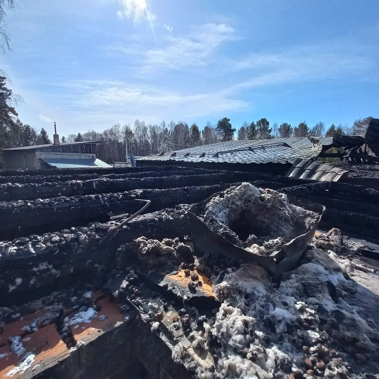 Пожары270426 3