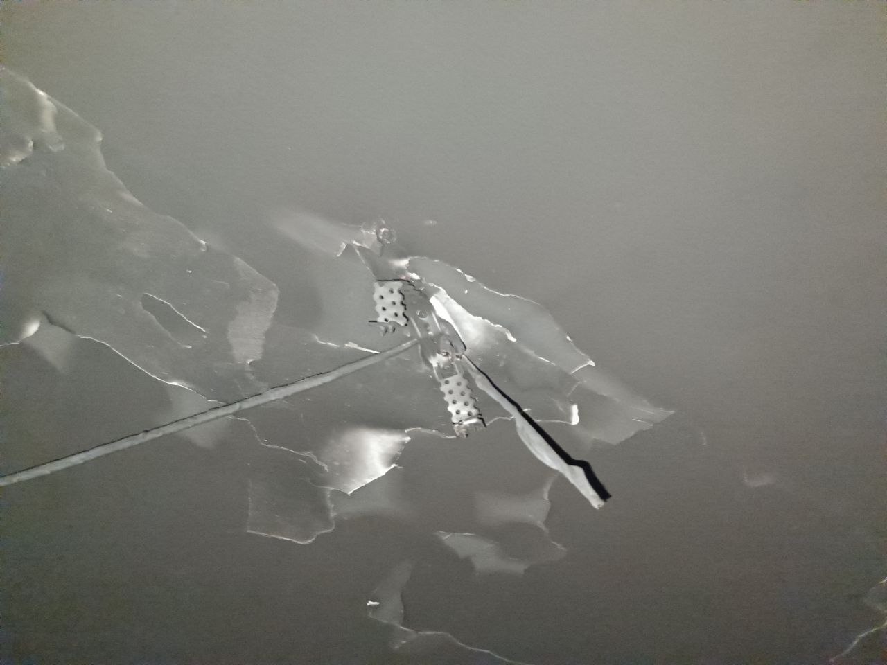 bbeb525d-6abd-4783-92af-83ae04e95091.jpeg