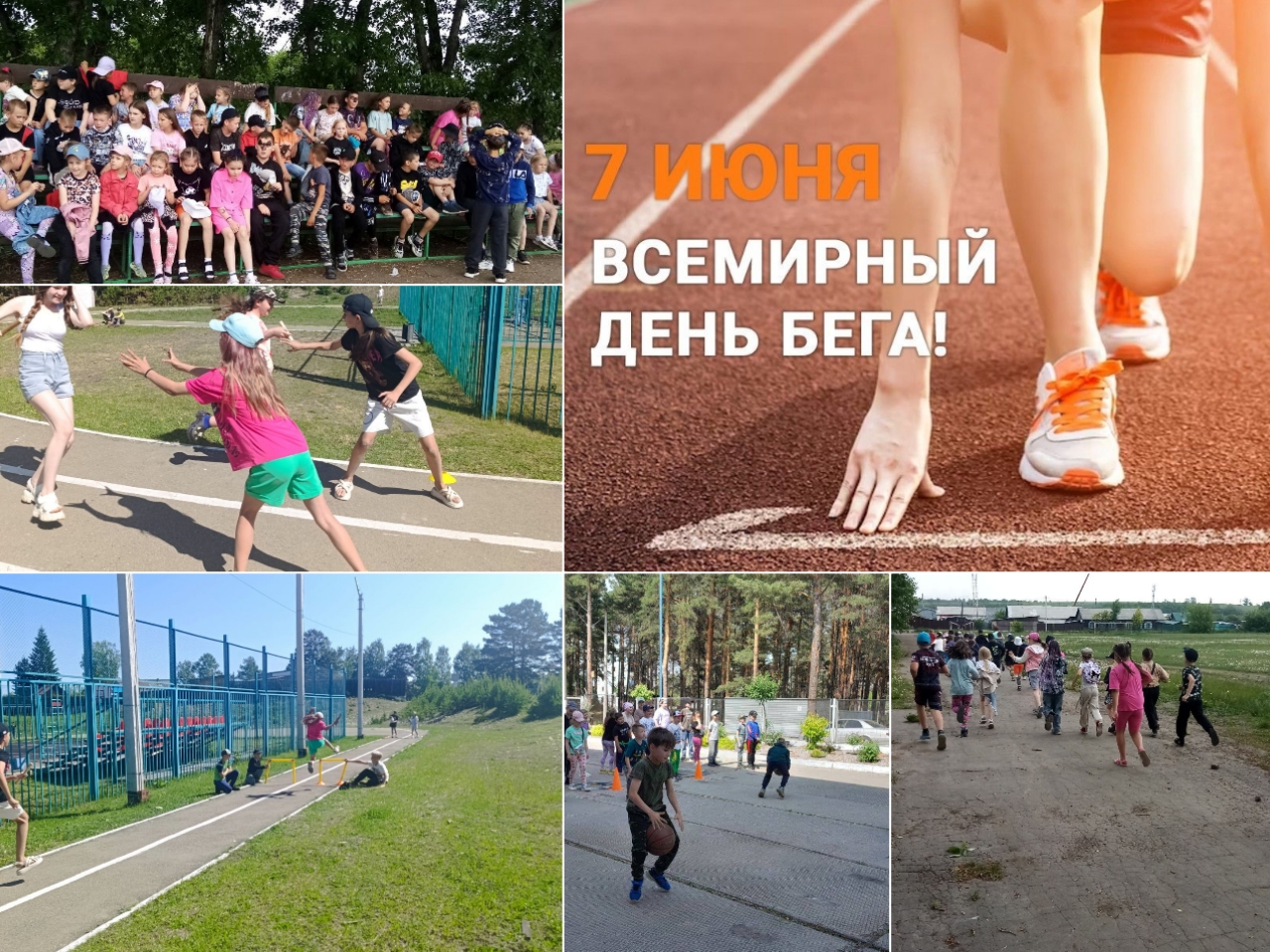 photocollage_2025610215448373.jpg